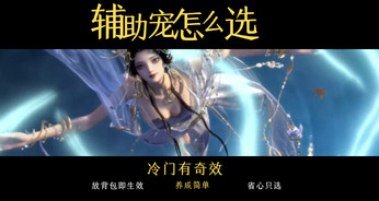 全辅助宠讲解（下）